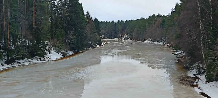 Затяжная оттепель опять надвигается на Карелию