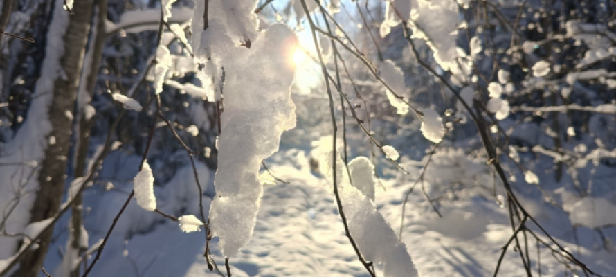 Карелию назвали лучшим местом для тихого Нового года в России