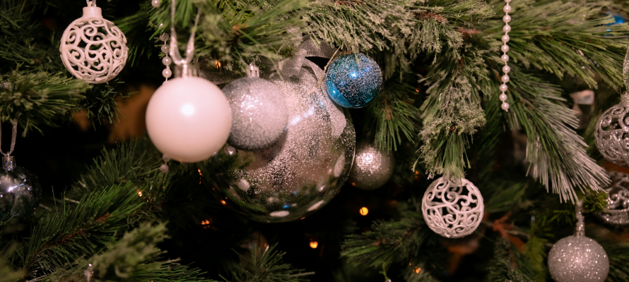 Эксперты рассказали, как выбрать качественную живую елку