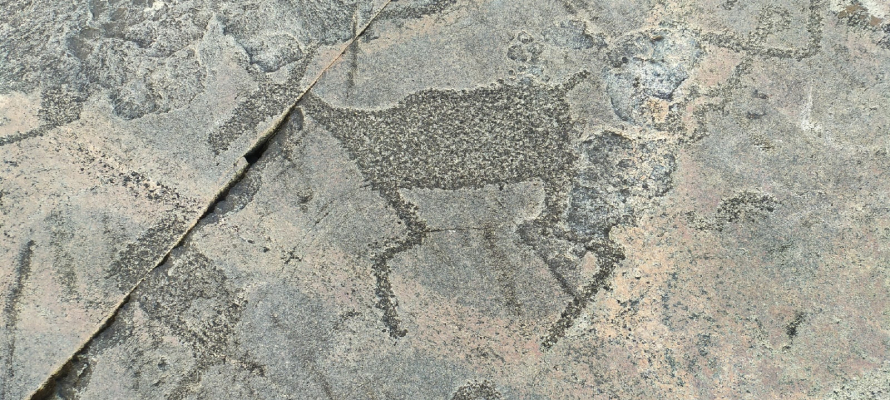 Два туристических маршрута с петроглифами планируют развивать в Карелии