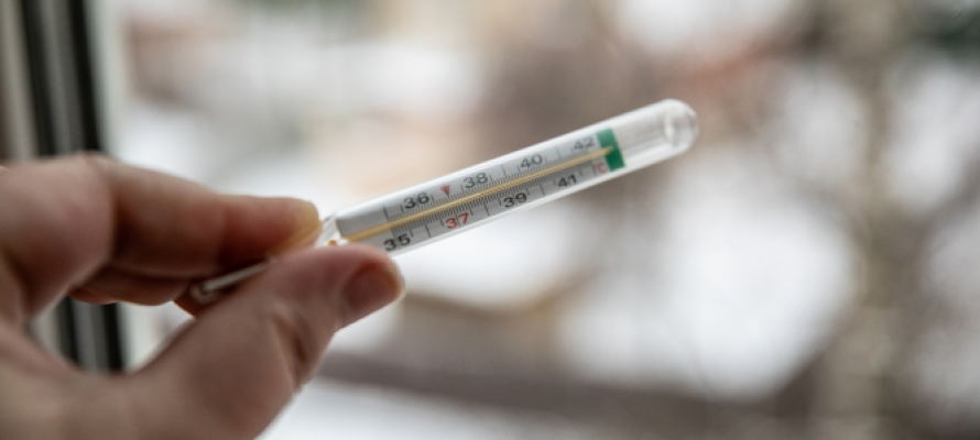 Академик Онищенко рассказал, когда в России наступит пик заболеваемости гриппом