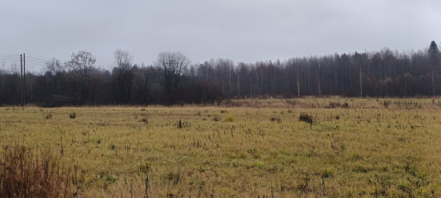 В Кондопожском районе мужчину оштрафовали на 400 тыс. рублей за попытку незаконно получить землю