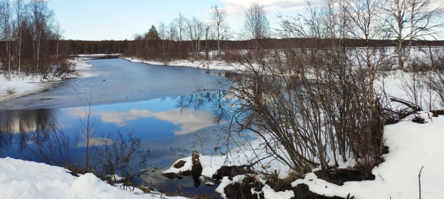 Почти 30 карельских рек очистят от загрязнений