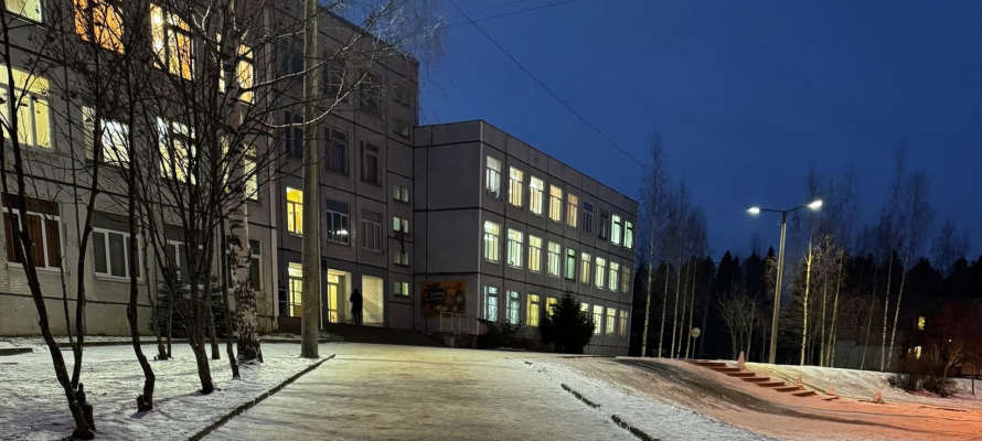 Ученик петрозаводской школы пришел на урок с ножом и свастикой на руках