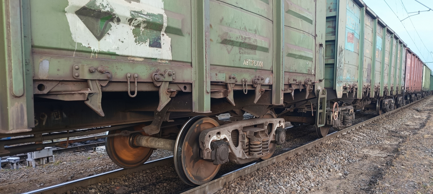 В Кемском районе Карелии грузовой поезд сбил лося