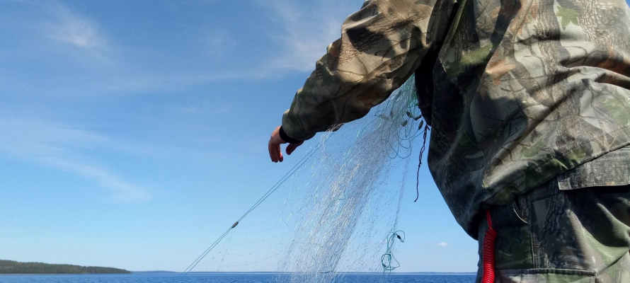 Сети, лодку и автомобиль изъяли у двух рыбаков в Сегежском районе