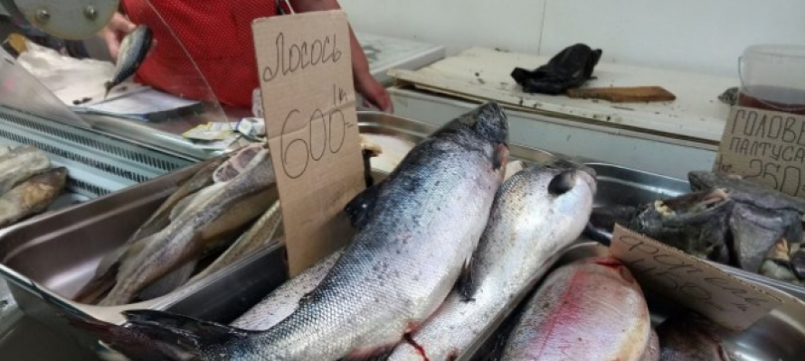 Житель Московской области заплатит штраф за вылов краснокнижного лосося из Онежского озера