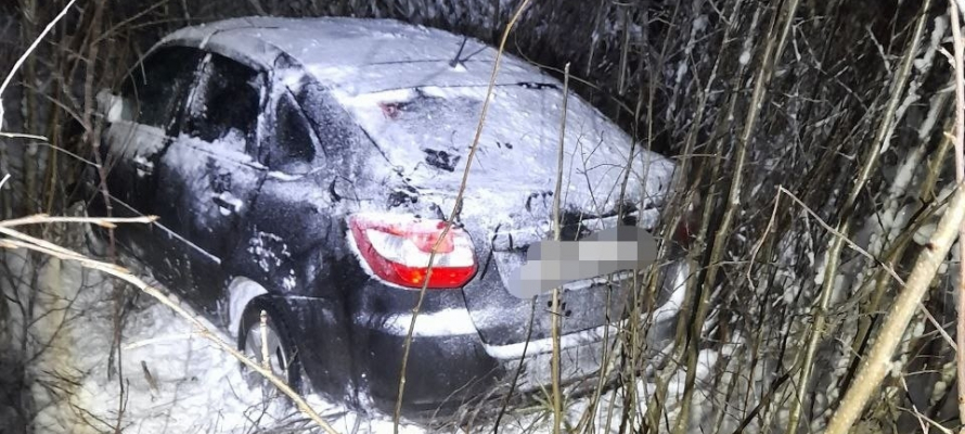 Автомобиль съехал в кювет на трассе в Пряжинском районе