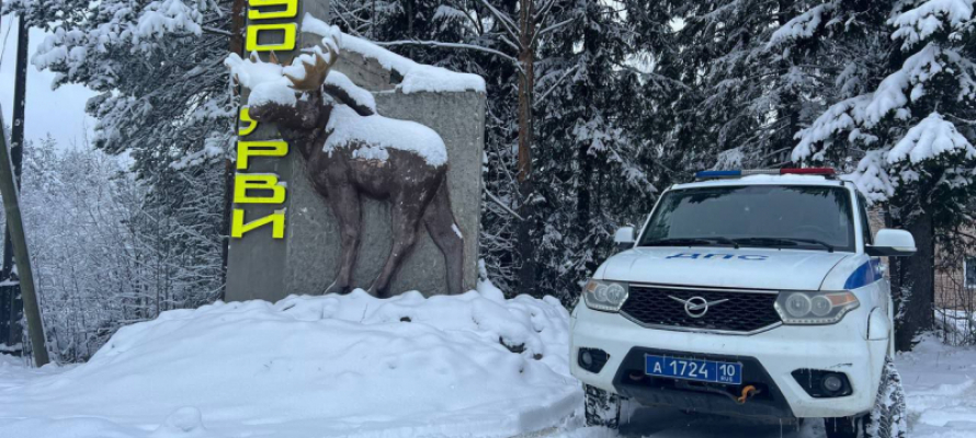 Полицейские в Карелии спасли заблудившегося в лесу охотника от волков
