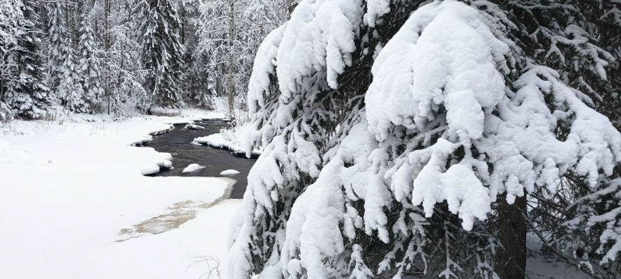 Чем удивит «Столица на Онего» в новом году и на каникулах