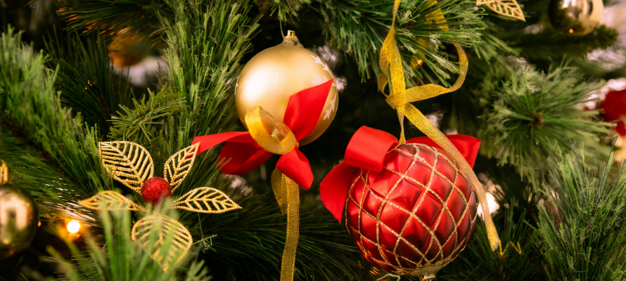 В Роспотребнадзоре Карелии рассказали, как избежать отравления на новогодних каникулах