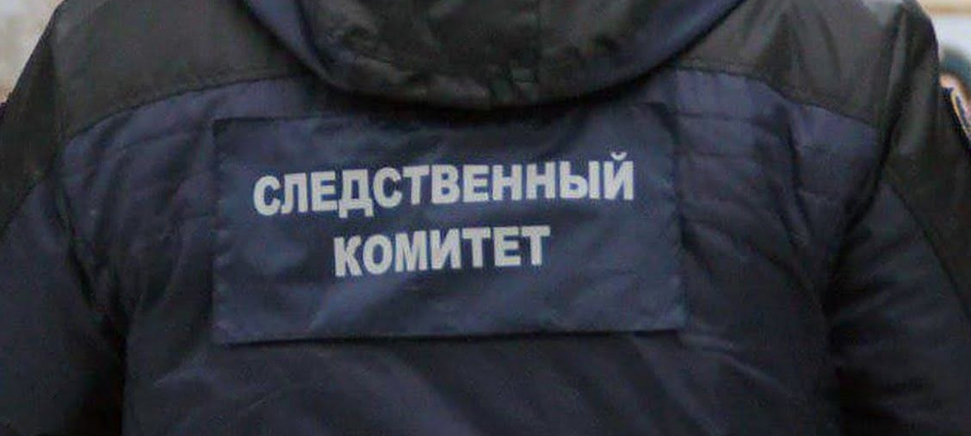 По факту гибели 13-летней девочки из Петрозаводска возбуждено уголовное дело