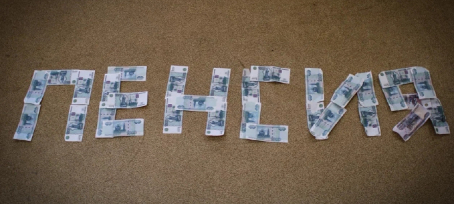 Правительство РФ планирует развивать удалённую занятость для пенсионеров и обучать предпенсионеров