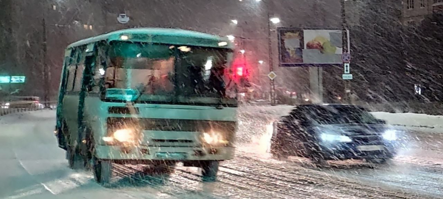 Сильные метели накроют Карелию 11 января