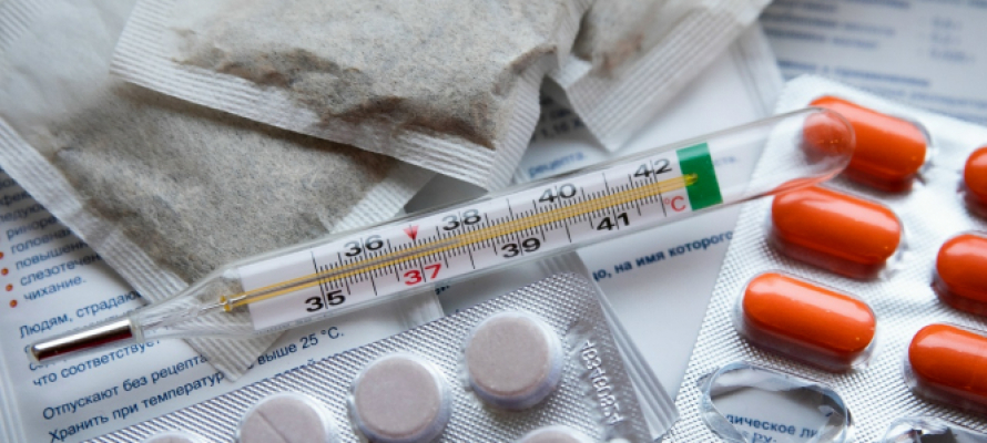 Заболеваемость ОРВИ и гриппом в Карелии за каникулы снизилась вдвое