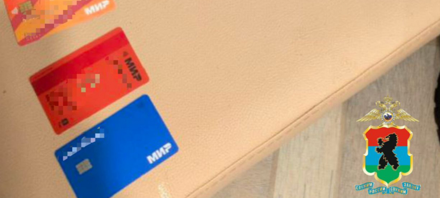 Карельские полицейские задержали челябинца, активировавшего более тысячи сим-карт для мошенничества