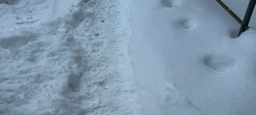 Жители Петрозаводска жалуются на непроходимые тротуары