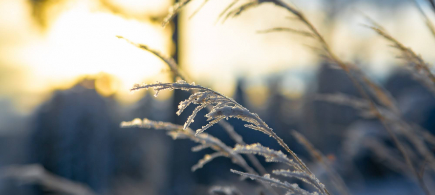 Метеорологи объяснили, почему прогнозы погоды часто не сбываются