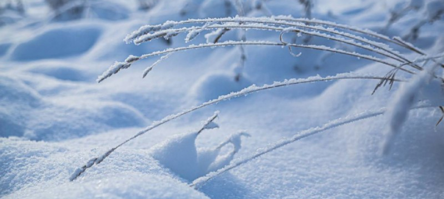 Синоптики рассказали, когда в Карелию придут самые сильные морозы