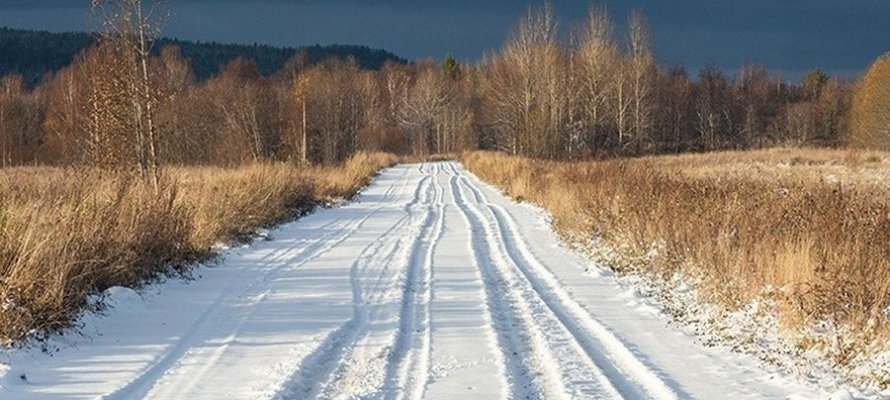 Для школьника из Видан решили вопрос с подвозом и угрозой волков