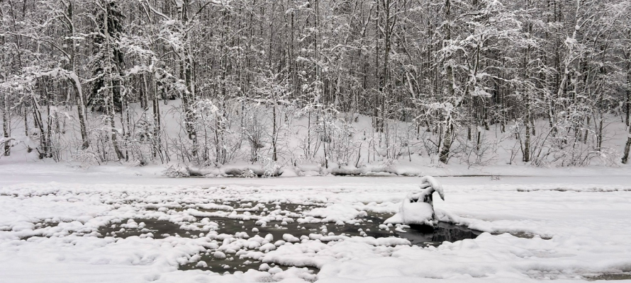 Еще два снегохода с рыбаками провалились под лед в Онежском озере