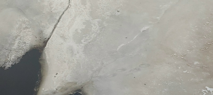 Ученые рассказали, что скрыто под льдами Антарктиды