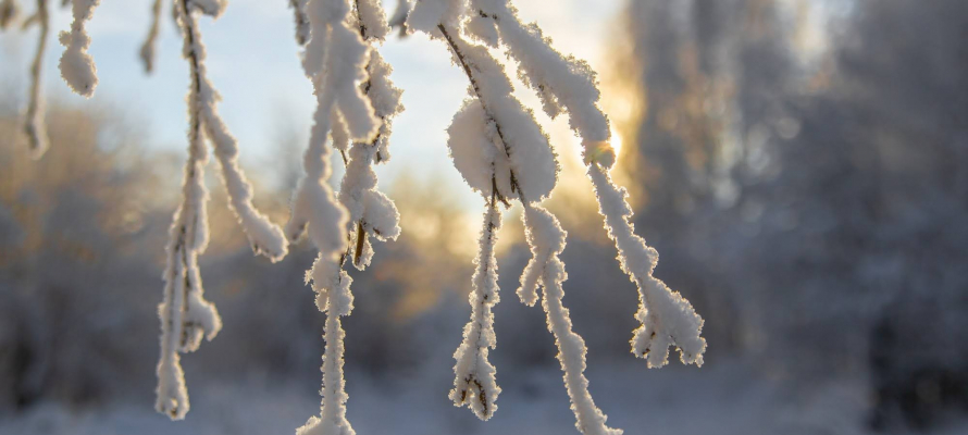 Лишь местами до -9°С: совсем не крещенский прогноз на 19 января
