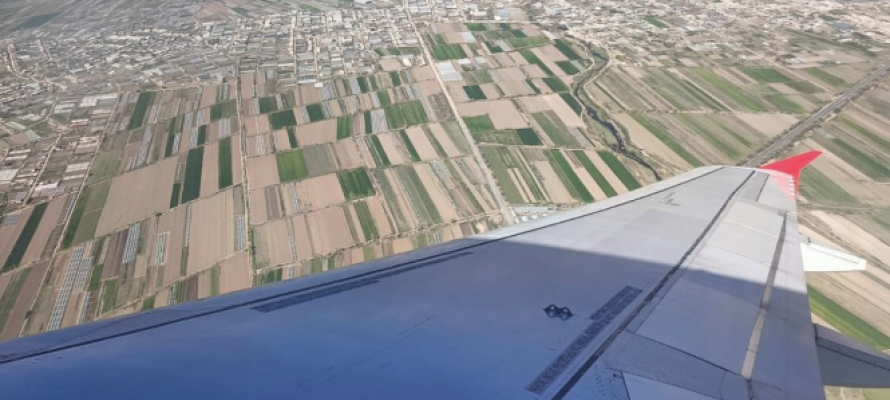 Электронный посадочный талон станет официальным документом для посадки на самолет