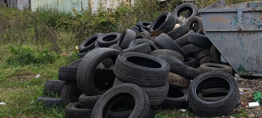 В Петрозаводске в 2025 году с контейнерных площадок вывезли 2,5 тысячи тонн брошенных шин