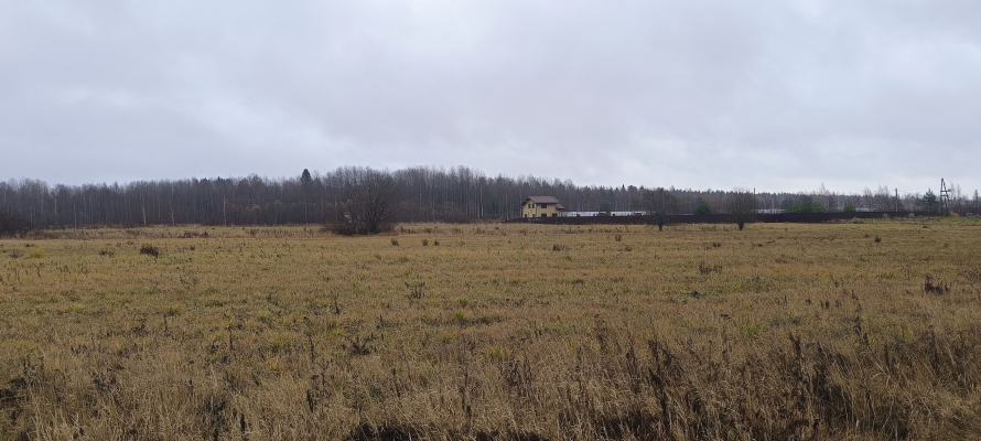 2700 участков выдано в Карелии по программе «Гектар в Арктике»