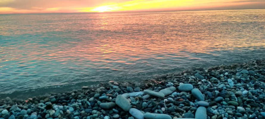 Чиновники изучают спрос на «каникулярный» рейс в Сочи из Петрозаводска