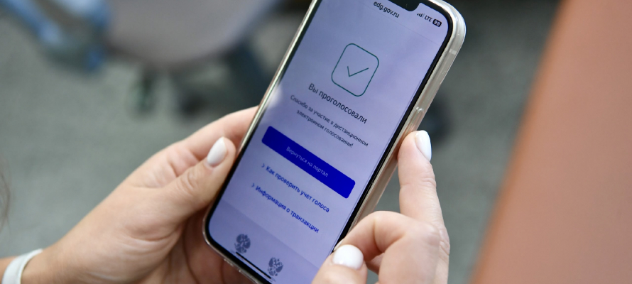 В Карелии посчитали потенциальных избирателей