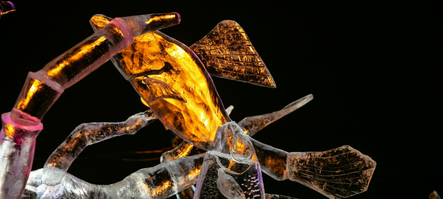 Концерт «Мохито», фестиваль по подледному лову, салют: стала известна программа «Гипербореи»