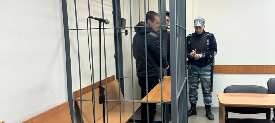 Петрозаводчанина будут судить за убийство сожителя мамы