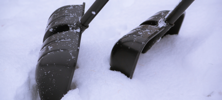 В Петрозаводске за неделю нашли 255 нарушений в содержании домов и дворов