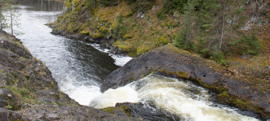 Заповедники и нацпарки Карелии могут частично использовать для обороны и безопасности