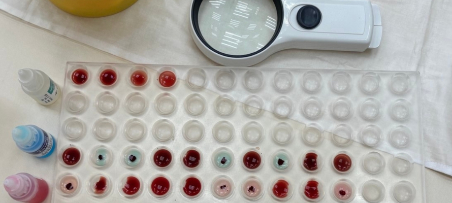 Станция переливания крови Петрозаводска обратилась к донорам всех групп крови