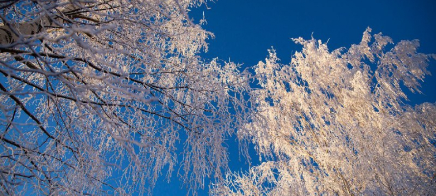 Гололёд и морозы до -24°С ожидаются в Карелии 28 января