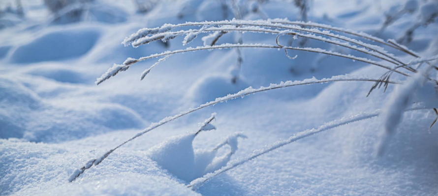 Карелия попала в число регионов с высокими сугробами