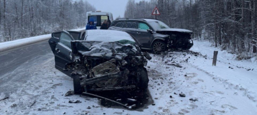 Глава Минздрава Карелии рассказал о состоянии мальчика, пострадавшего в страшном ДТП на трассе «Кола»