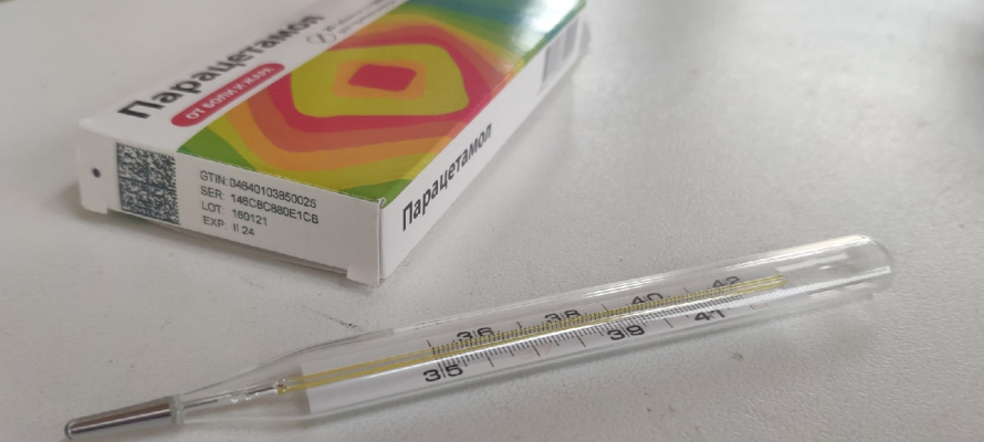 Одну из карельских школ закрыли на карантин из-за ОРВИ и гриппа