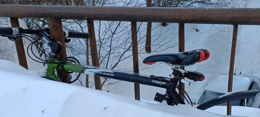 В Петрозаводске полицейские задержали похитителя велосипеда