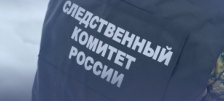 Александр Бастрыкин взял на контроль дело о заброшенном аварийном мосте в Карелии