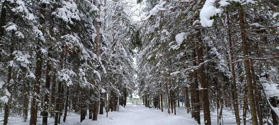 Министр транспорта Карелии объяснил, почему ремонт аварийного моста  в Сумериа затянулся