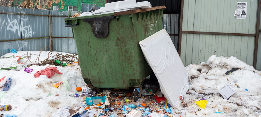 Магазинам и кафе запретят выкидывать отходы в контейнеры жителей