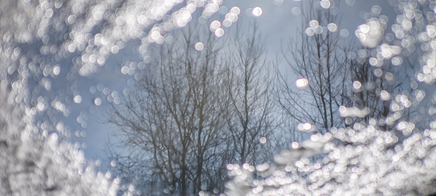 Климат Земли близок к переходу в режим «неуправляемого парника»