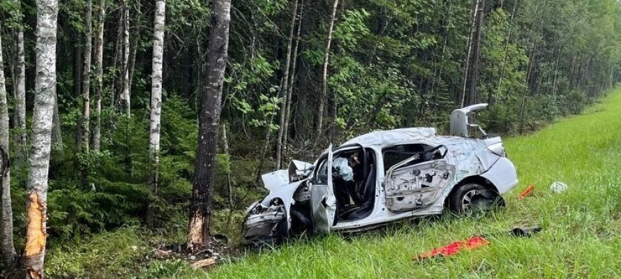 Житель Петербурга получил 5 лет колонии за смертельное ДТП на трассе «Кола» в Карелии