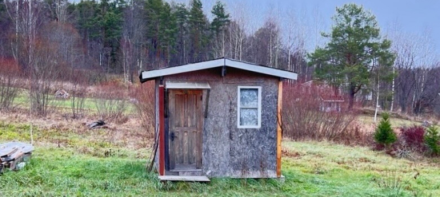 Жительнице Приладожья придется вернуть земельный участок государству