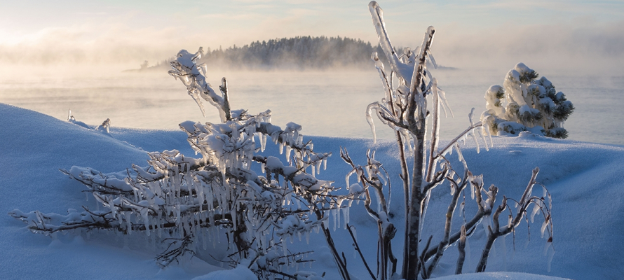 Синоптики: Ладожское озеро полностью замерзнет в ближайшие дни