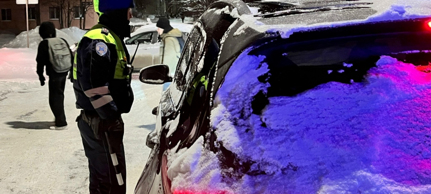 Массовые проверки водителей пройдут в Петрозаводске 16 февраля